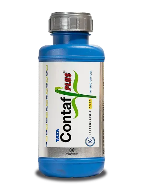 Contaf Plus Fungicide (Hexaconazole 5% Sc) For Powdery Mildew & Sheath Blight Control 1