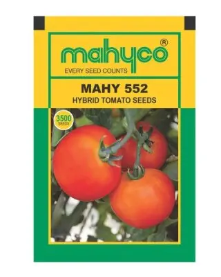 Mahyco Mahy 552 Tomato- Semi Indeterminate, White Shoulder, Flat Round 1