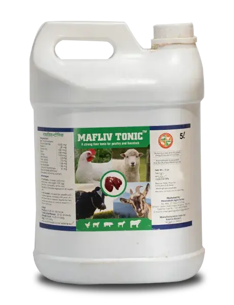 Mafliv Tonic (Livor Forte) - Strong Liver Tonic (Liquid) 1