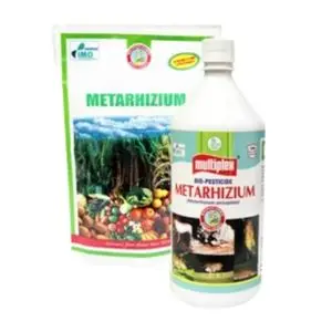 Multiplex Metarhizium Biopesticide – Biological Pest Control Agent 1