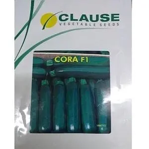 Cora F-1 Green Zucchini 1