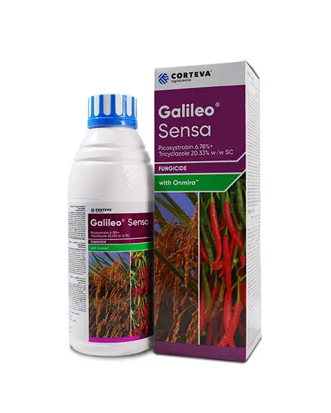 Galileo Sensa Fungicide (Picoxystrobin 6.78% + Tricyclazole 20.33% W/W Sc) For Rice Blast & Chilli Diseases 1