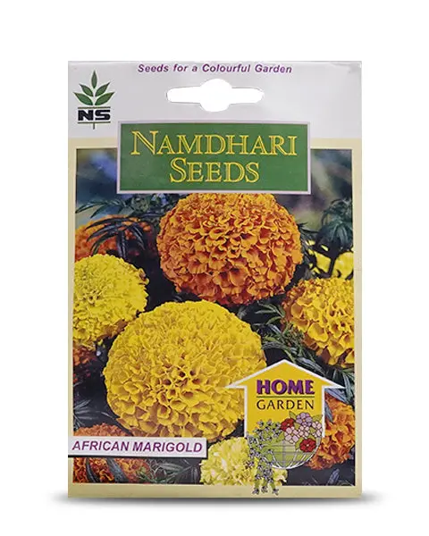 Cracker Jack Mix Marigold 1