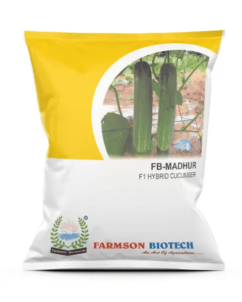 Farmson Cucumber F1 Fb Madhur (Green, Cylindrical) Seeds 1