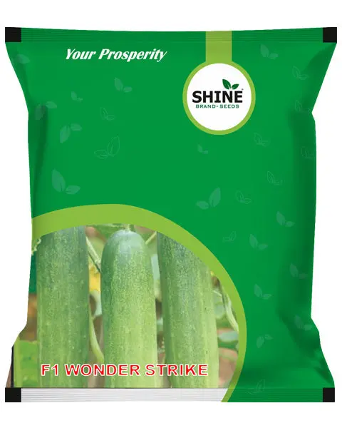 Shine Cucumber Wonder Strike F1 Hybrid Seeds 1