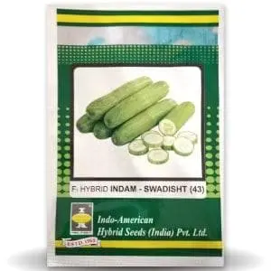 Indam Swadisht Cucumber Seeds 1