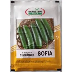 Safal Bio Cucumber Sofia F1 Seeds 1