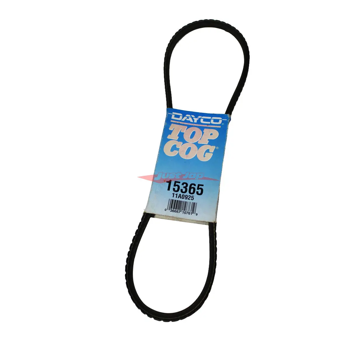 Dayco Top Cog Belt - 11A0925 1