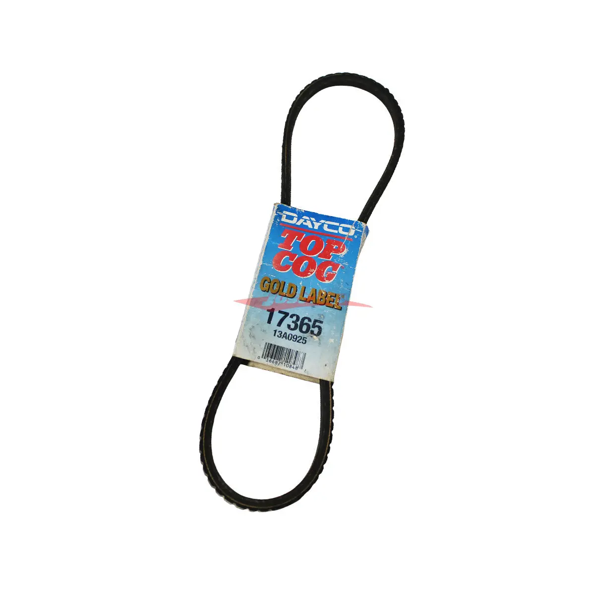 Dayco Top Cog Belt - 13A0925 1