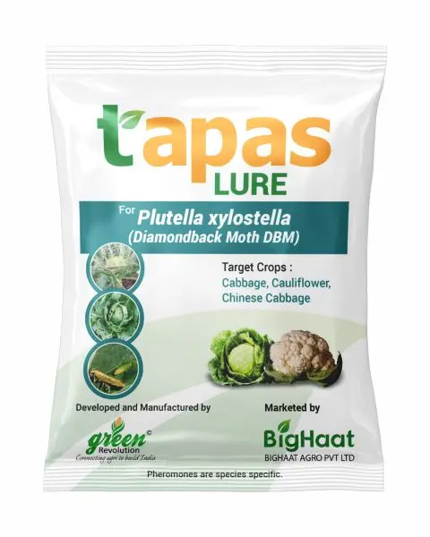 Dbm Lure- Diamondback Moth Control In Cabbage, Cauliflower & Other Crops (Ipm Suitable) | Tapas 1