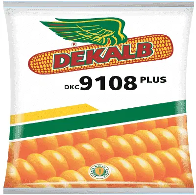 Dekalb 9108 Plus Corn 1