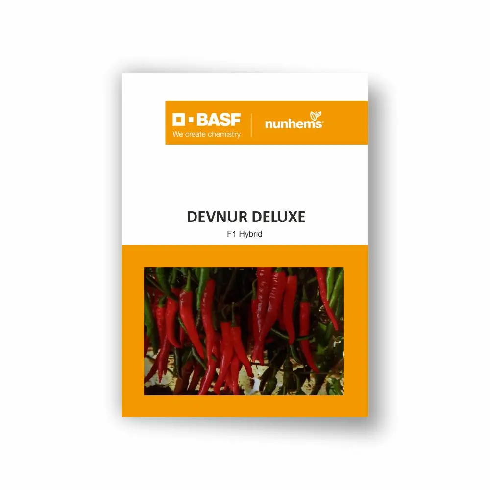 Devnur Deluxe Chilli Seeds - Early Maturity, Traditional Byadgi, High Yield 1