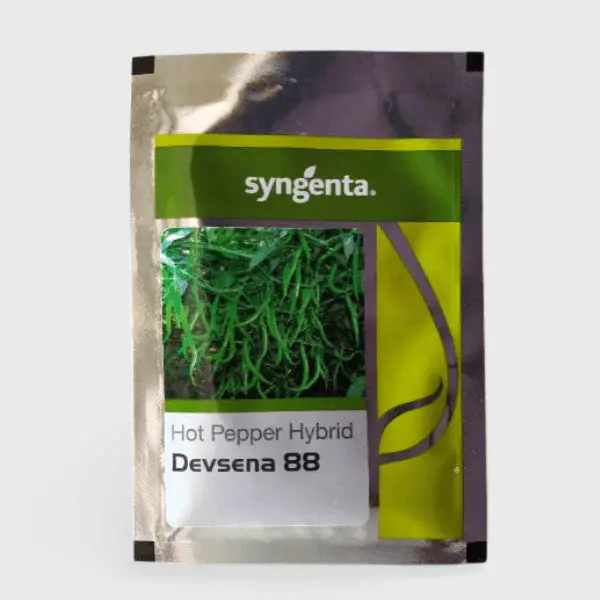 Devsena 88 Chilli Seeds 1