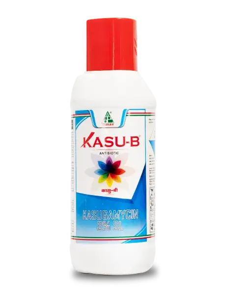 Kasu B (Kasugamycin 3% Sl) Fungicide - Dual Action Fungicide For Rice & Tomato 1