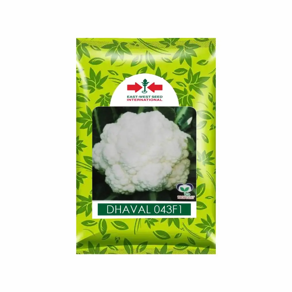 East West Dhaval 043F1 Cauliflower Seeds 1