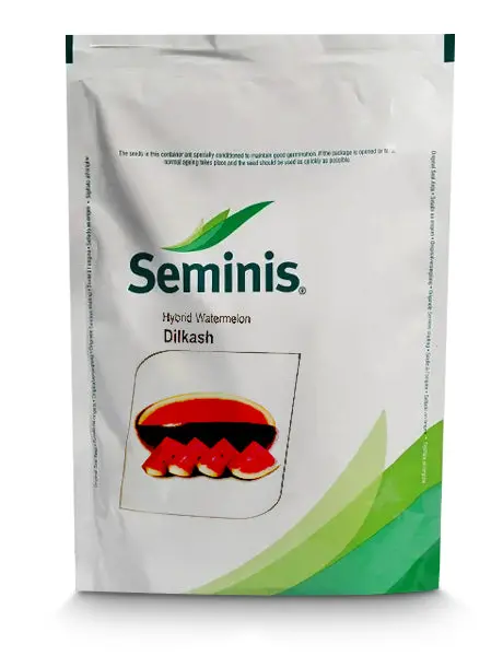 Dilkash Watermelon 1
