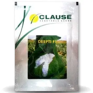 Deepti Cauliflower Seeds 1
