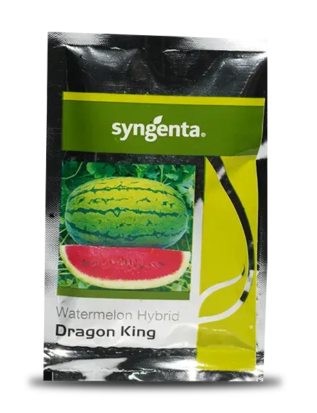 Dragon King Watermelon Seeds By Syngenta - Sweet & Hybrid Variety 1