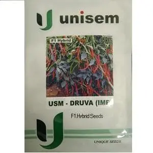 Druva (Imp) Chilli 1
