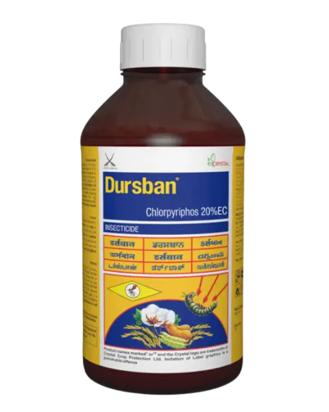 Dursban Insecticide (Chlorpyriphos 20% Ec) - Sucking & Chewing Pests Control 1