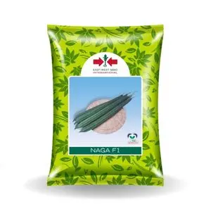 Naga Ridge Gourd Seeds - High Yielding Variety 1
