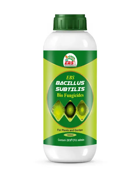 Ebs Bacillus Subtilis Bio Fungicide 1