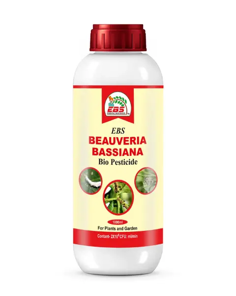 Ebs Beauveria Bassiana Bio Pesticide 1