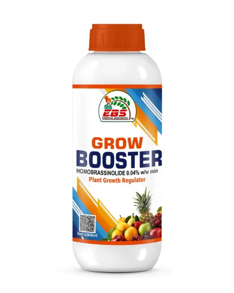 Ebs Grow Booster 1