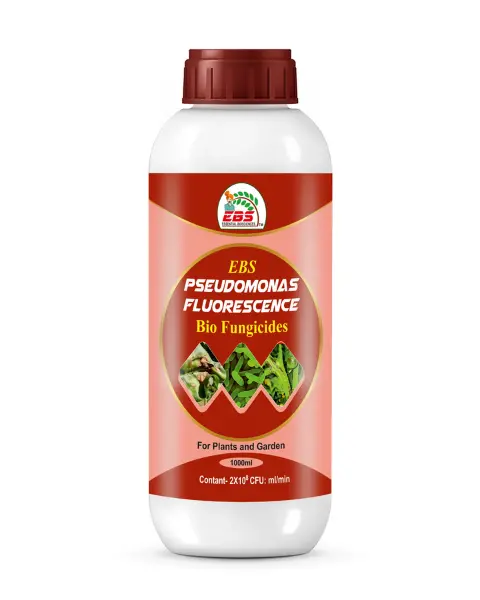 Ebs Pseudomonas Fluorescence Bio Fungicide 1