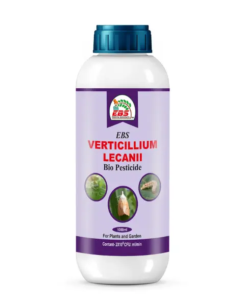 Ebs Verticillium Lecanii Bio Pesticide 1