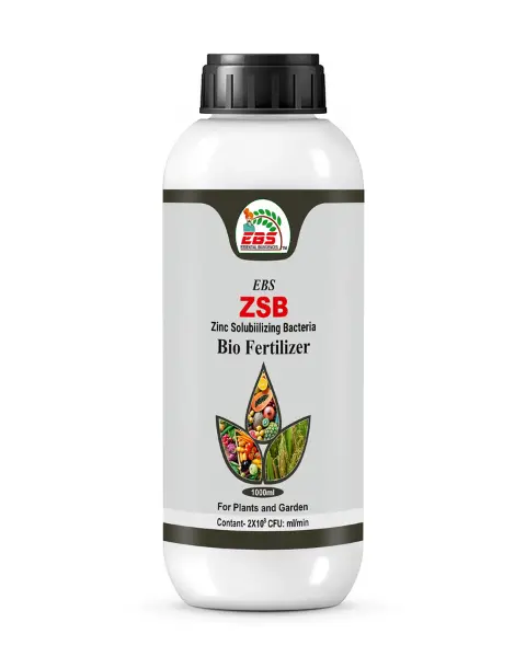 Ebs Zinc Solubilizing Bacteria Bio Fertilizer 1