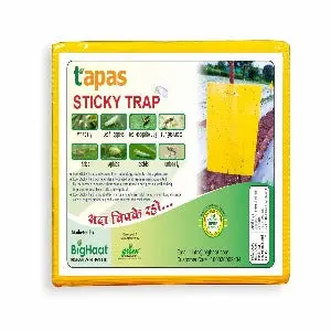 Tapas Eco Sticky Trap (A5 Size) – Organic Pest Control Trap For Sucking Insects 1