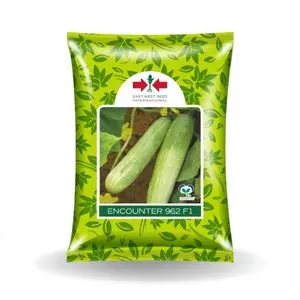 Encounter Cucumber Seeds - Light Green, Healthy Rapid Growth, High Yield Crop 1
