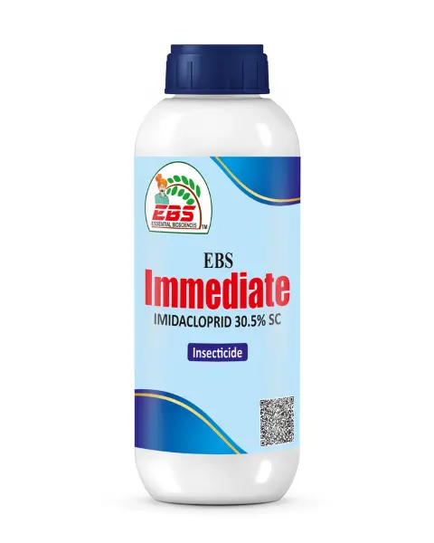 Ebs Imidacloprid 30.5% Sc: Fast-Acting Systemic Insecticide Solution 1