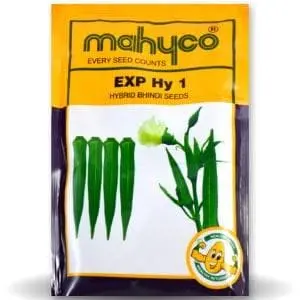 Mahy Exp.Hy.No.1 Bhendi (Okra) ( माहिको नंबर 1 भिंडी ) 1