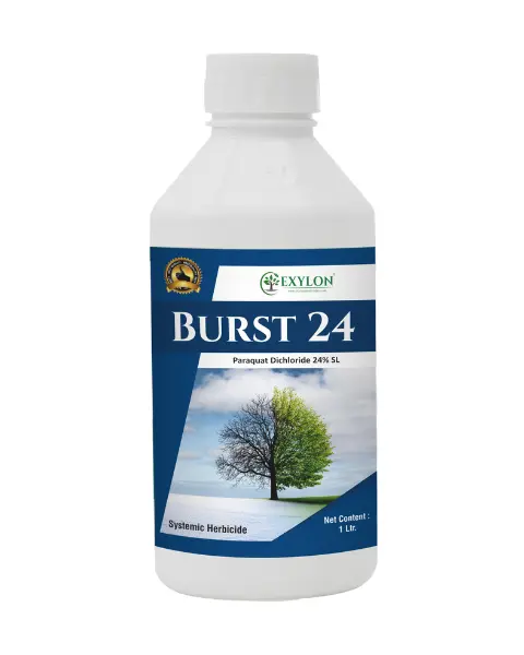 Exylon Burst 24 (Paraquat Dichloride 24% Sl) – Non-Selective Herbicide For Wheat, Paddy, Maize 1