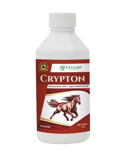 Exylon Crypton (Chlorpyriphos 50% + Cypermethrin 5% Ec) – Dual-Action Contact Insecticide For Borer & Aphid Management In Cotton & Tomato 1