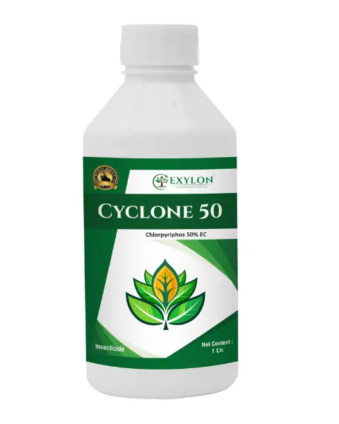 Exylon Cyclone 50 (Chlorpyriphos 50% Ec) – Termite & Borer Control For Sugarcane, Maize 1