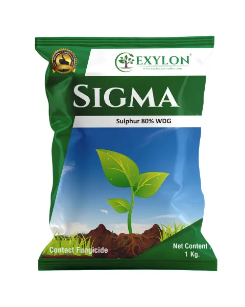 Exylon Sigma (Sulphur 80% Wg) – Broad-Spectrum Fungicide For Powdery Mildew & Rust In Grapes & Vegetables 1