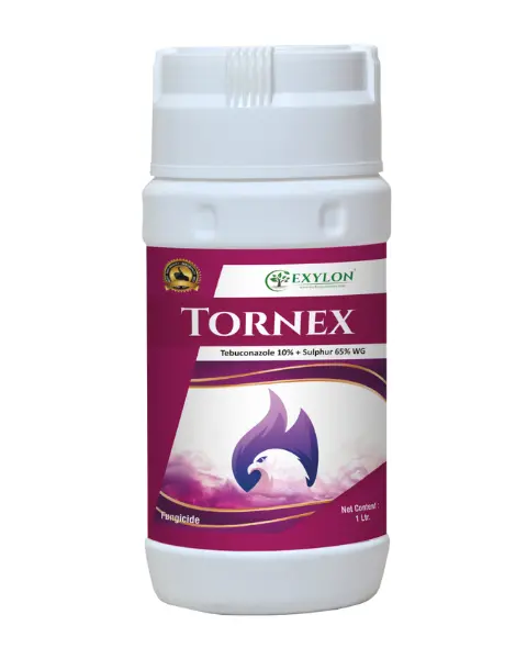 Exylon Tornex (Tebuconazole 10% + Sulphur 65% Wg) – Dual-Action Fungicide For Anthracnose & Powdery Mildew In Grapes & Vegetables 1