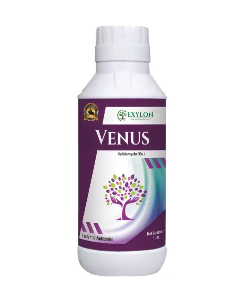 Exylon Venus (Validamycin 3% L) – Fungicide For Paddy, Wheat, Vegetables 1