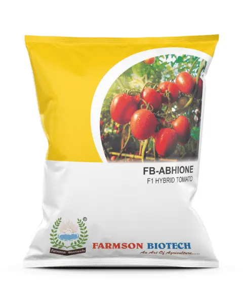 Farmson F1 Abhione 1101 Tomato Seeds (Oval, Red) 1