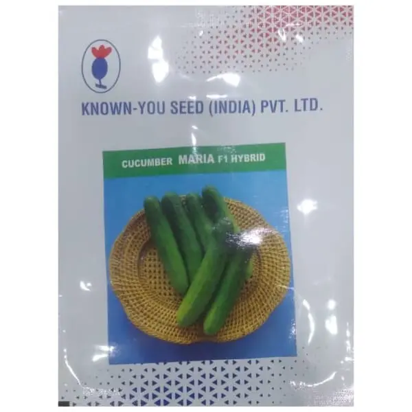 Maria Cucumber Seeds - Multi Fruits, Dark Green, Heavy Yield 1