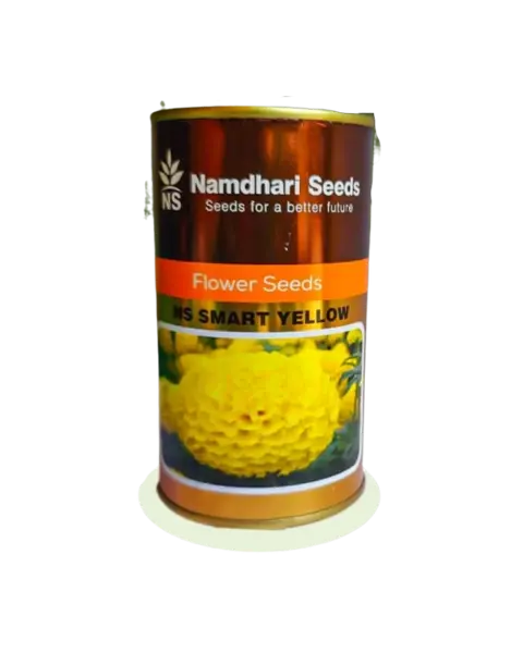 F1 Hyb Marigold Ns 1501 (Smart Yellow) 1
