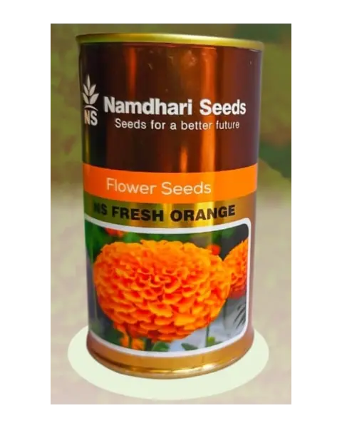 F1 Hyb Marigold Ns 1503( Fresh Orange) 1