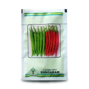 Bangaram F1 Hybrid Chilli 1