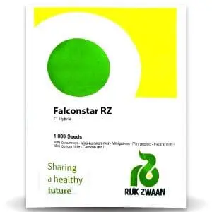Falconstar Rz F1 Cucumber 1