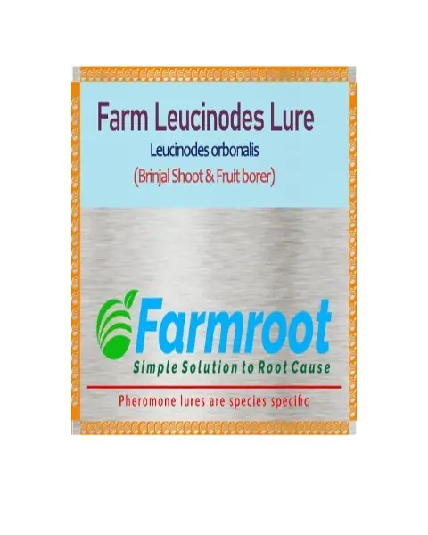 Farmroot Farm Leucinoides Lure (Brinjal) 1