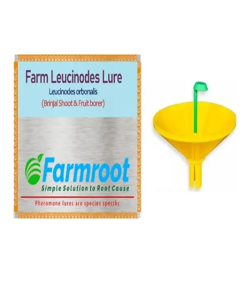 Farmroot Farm Leucinoides Lure (Brinjal) With Water Trap 1