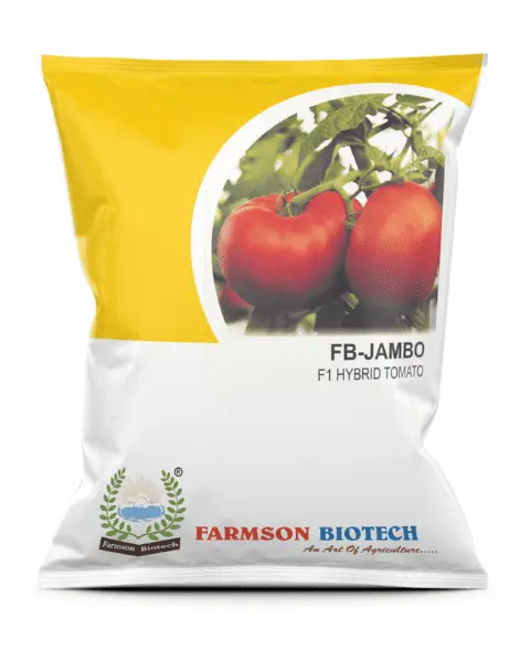 Farmson 9350 F1 Hybrid Tomato Seeds – Big, Round, Shiny Red Fruits 1